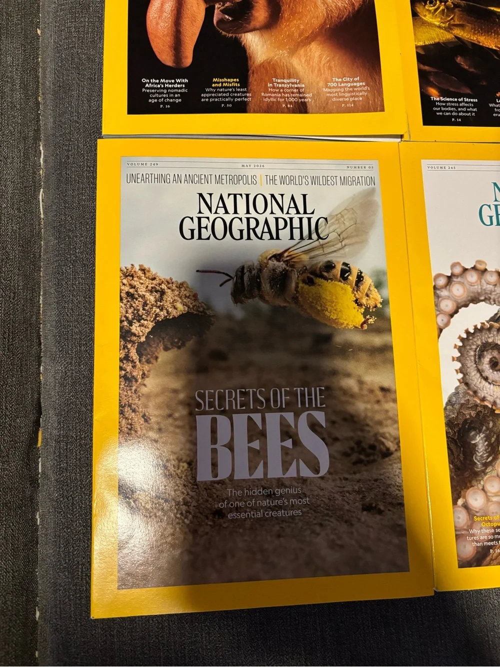 National Geographic Magazine Lot - 8 issues with animal themes